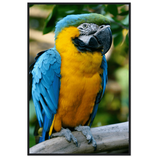 407e30ea-d7b2-4ea6-a92a-c772bb6bf560