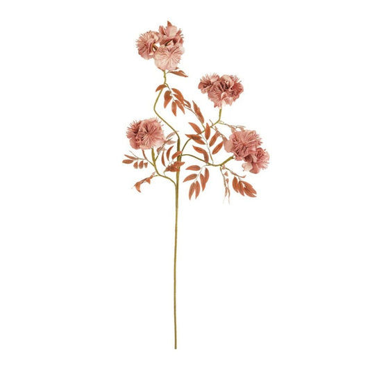 Botanica Pink Flowers Set of 6