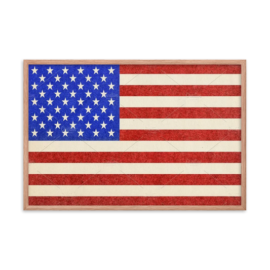 USA Flag Framed poster