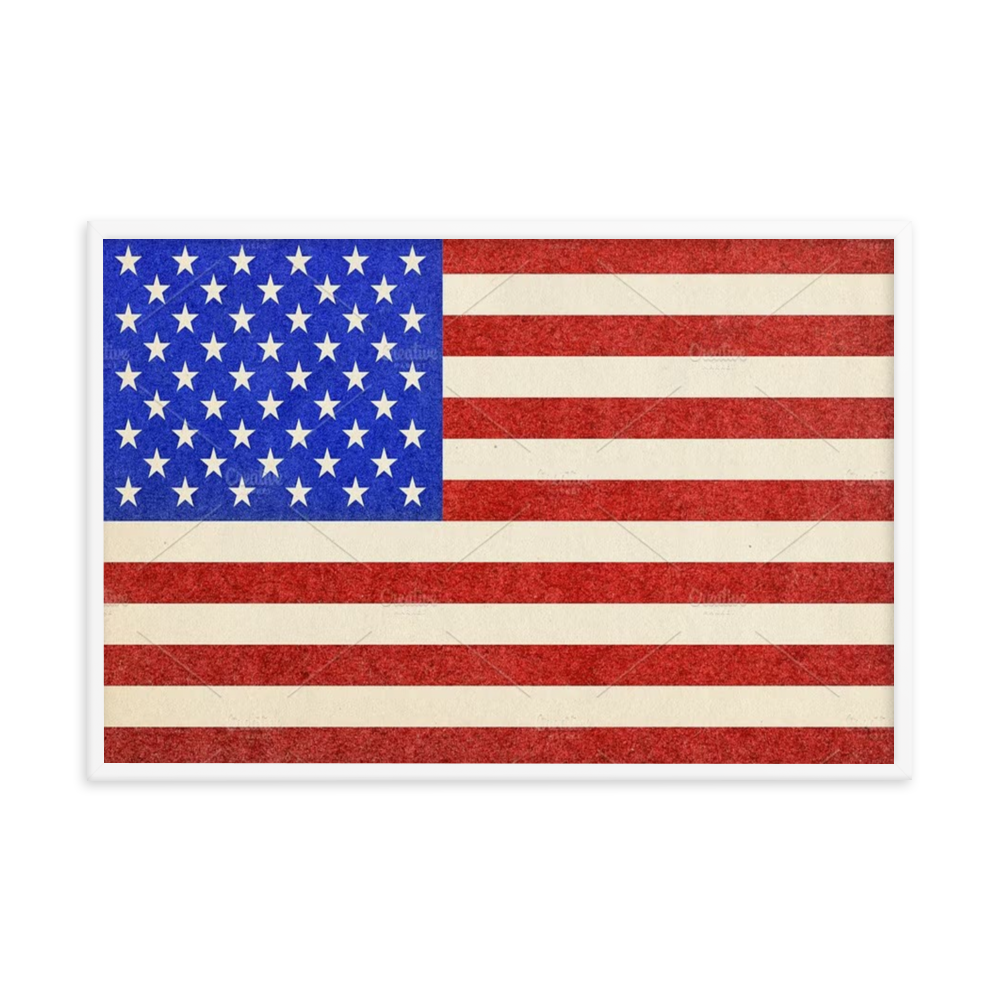 USA Flag Framed poster