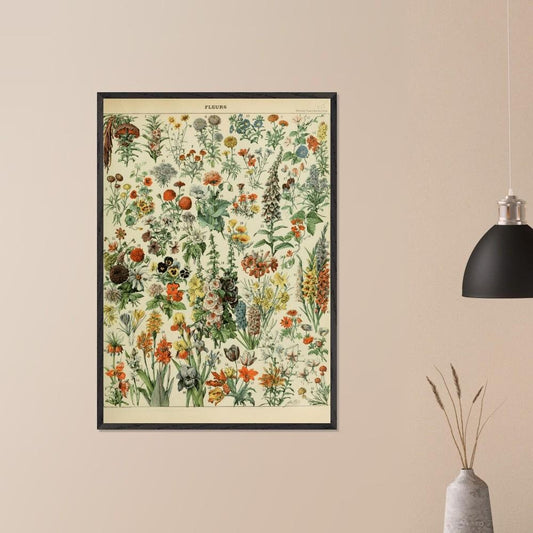 Framed Vintage Flower Illustration, Adolphe Millot Print