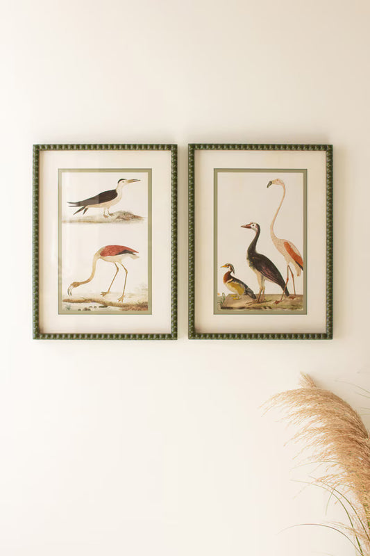 Pair of Bird Prints Under Glass