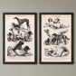 Vintage Canine Species Sepia Prints: 2 Varied Styles