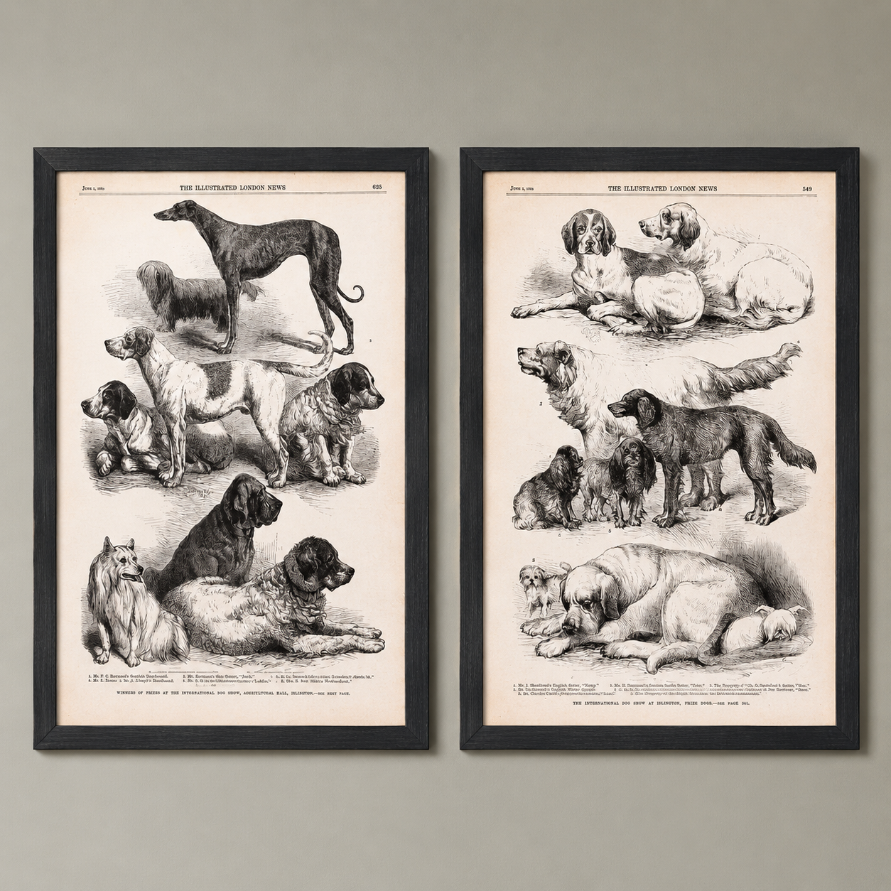 Dog Painting 🖼️