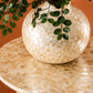 ✨ Set of 2 Capiz Shell Accent Tables ✨