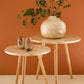 ✨ Set of 2 Capiz Shell Accent Tables ✨
