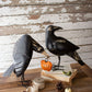 Set of 2 Recycled Iron Crows Holding a Pumpkin