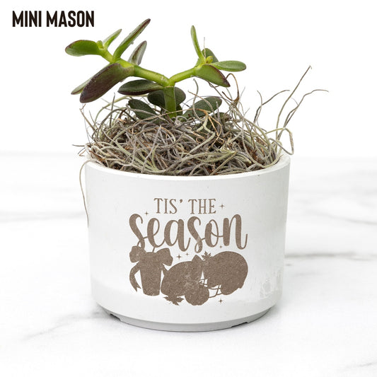 Tis The Season Desk Plant Gift