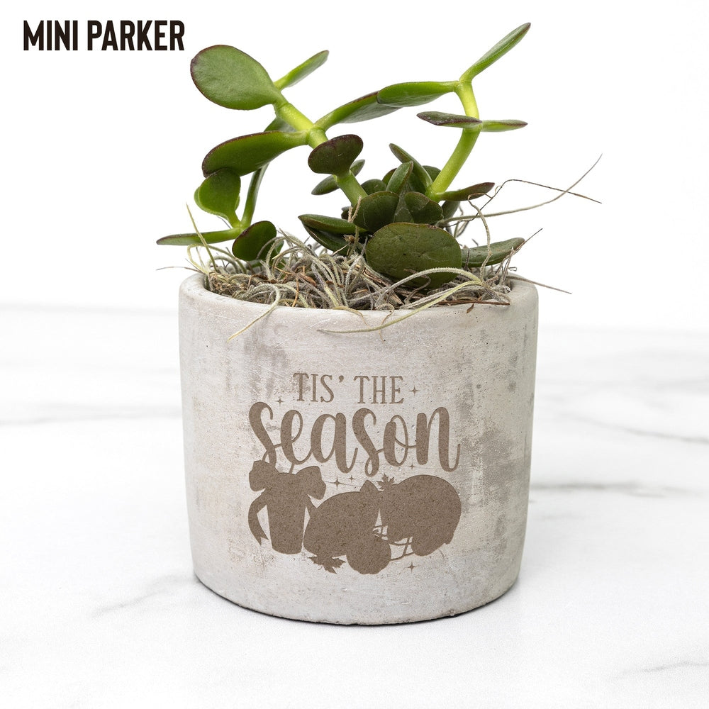 Tis The Season Desk Plant Gift