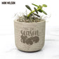 Tis The Season Desk Plant Gift