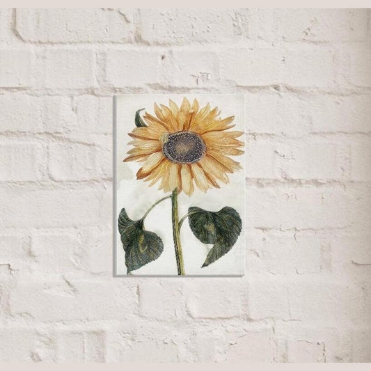 Johan Teyler's Sunflower (1688-1698) Canvas Art Print 2 Sizes