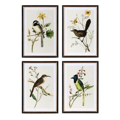 Assorted Summer Bird Framed Art Prints – Set of 4 Unique Styles