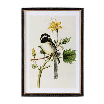 Assorted Summer Bird Framed Art Prints – Set of 4 Unique Styles