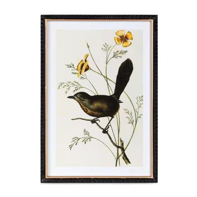 Assorted Summer Bird Framed Art Prints – Set of 4 Unique Styles