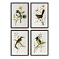 Assorted Summer Bird Framed Art Prints – Set of 4 Unique Styles