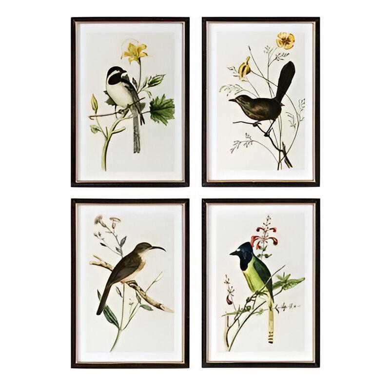 Assorted Summer Bird Framed Art Prints – Set of 4 Unique Styles